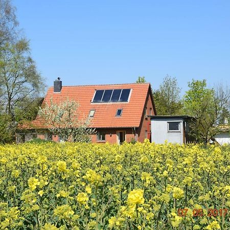 Ferienwohnung mit Tiny House Freienwill Exterior foto