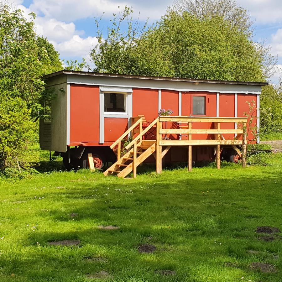 Ferienwohnung mit Tiny House Freienwill Exterior foto