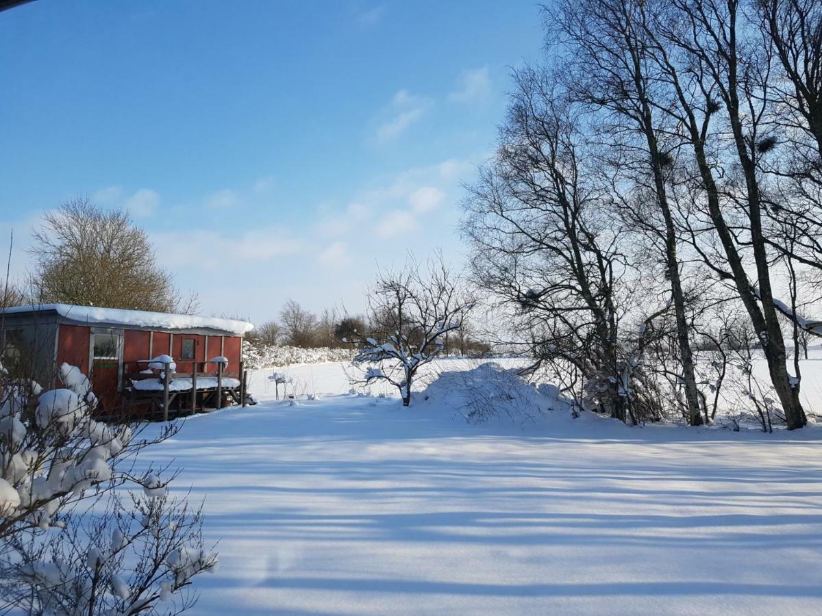 Ferienwohnung mit Tiny House Freienwill Exterior foto